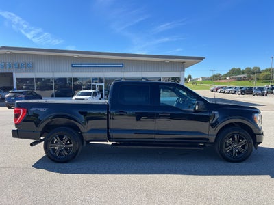 2021 Ford F-150 XLT 6.5' BOX!